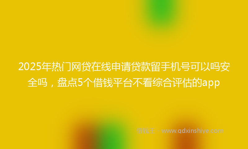 2025年热门网贷在线申请贷款留手机号可以吗安全吗，盘点5个借钱平台不看综合评估的app