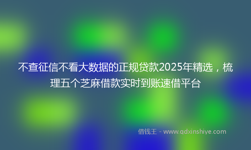 不查征信不看大数据的正规贷款2025年精选，梳理五个芝麻借款实时到账速借平台