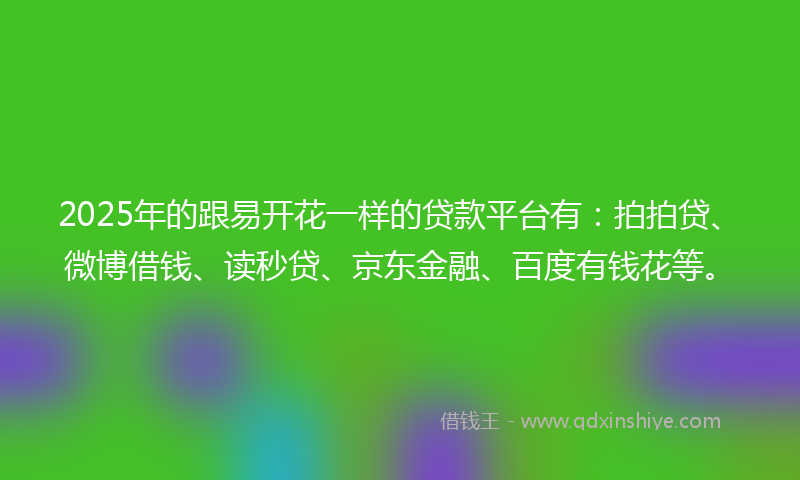 2025年的跟易开花一样的贷款平台有：拍拍贷、微博借钱、读秒贷、京东金融、百度有钱花等。