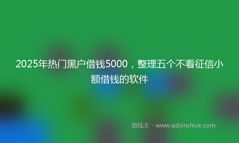 2025年热门黑户借钱5000,整理五个不看征信小额借钱的软件