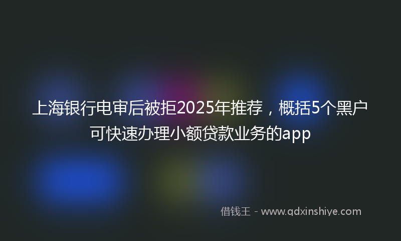 上海银行电审后被拒2025年推荐，概括5个黑户可快速办理小额贷款业务的app