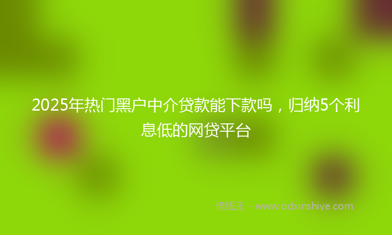2025年热门黑户中介贷款能下款吗，归纳5个利息低的网贷平台