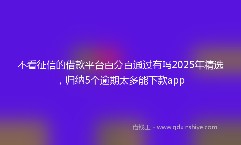 不看征信的借款平台百分百通过有吗2025年精选，归纳5个逾期太多能下款app