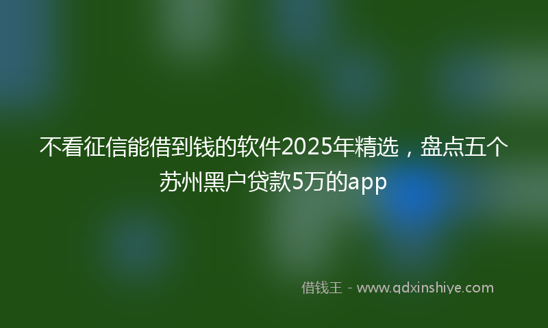 不看征信能借到钱的软件2025年精选，盘点五个苏州黑户贷款5万的app