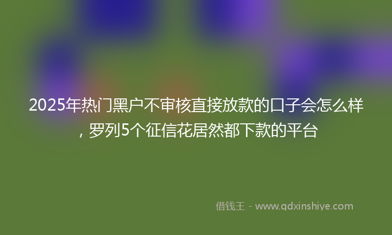 2025年热门黑户不审核直接放款的口子会怎么样，罗列5个征信花居然都下款的平台