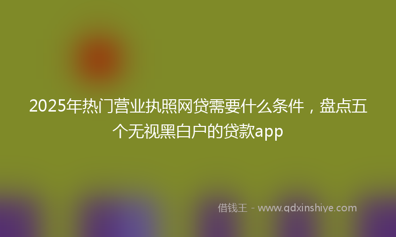 2025年热门营业执照网贷需要什么条件，盘点五个无视黑白户的贷款app