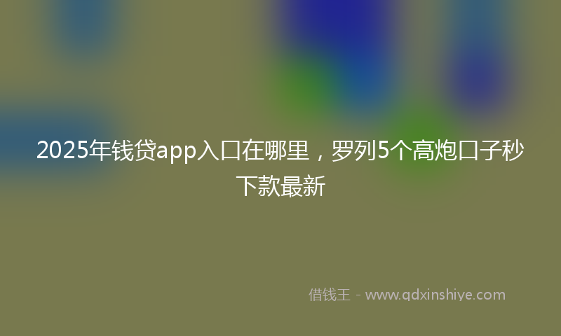 2025年钱贷app入口在哪里，罗列5个高炮口子秒下款最新