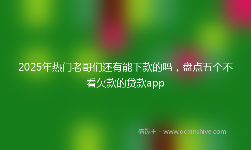 2025年热门老哥们还有能下款的吗，盘点五个不看欠款的贷款app