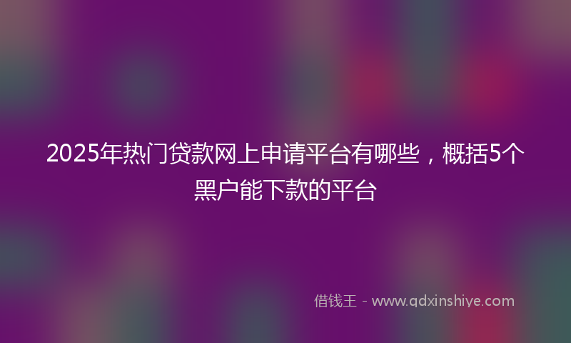 2025年热门贷款网上申请平台有哪些，概括5个黑户能下款的平台
