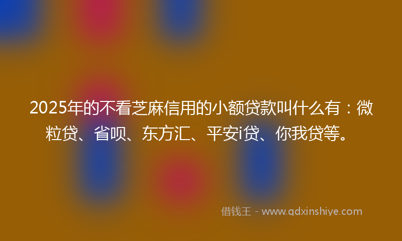 2025年的不看芝麻信用的小额贷款叫什么有：微粒贷、省呗、东方汇、平安i贷、你我贷等。