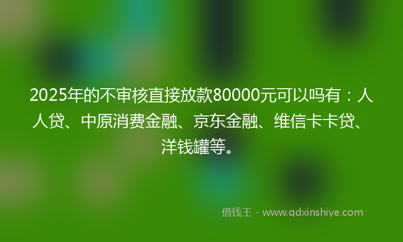 2025年的不审核直接放款80000元可以吗有：人人贷、中原消费金融、京东金融、维信卡卡贷、洋钱罐等。