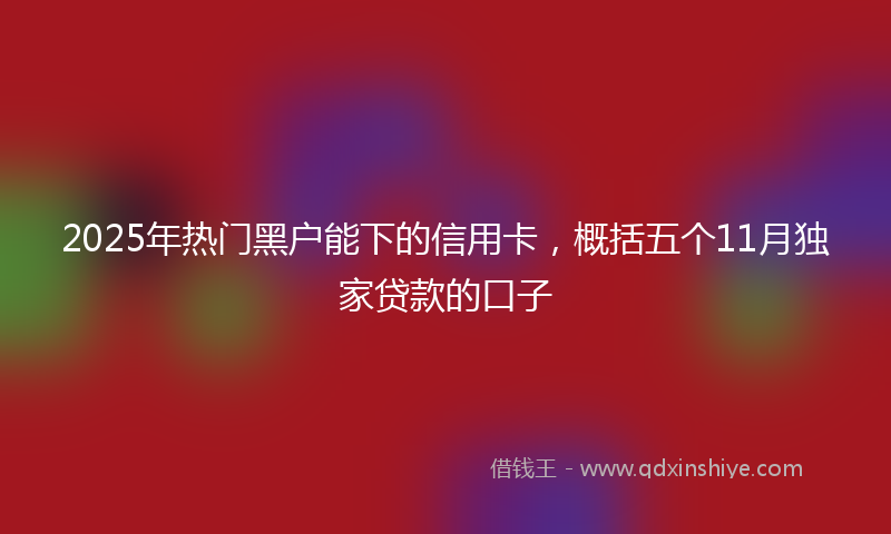 2025年热门黑户能下的信用卡，概括五个11月独家贷款的口子