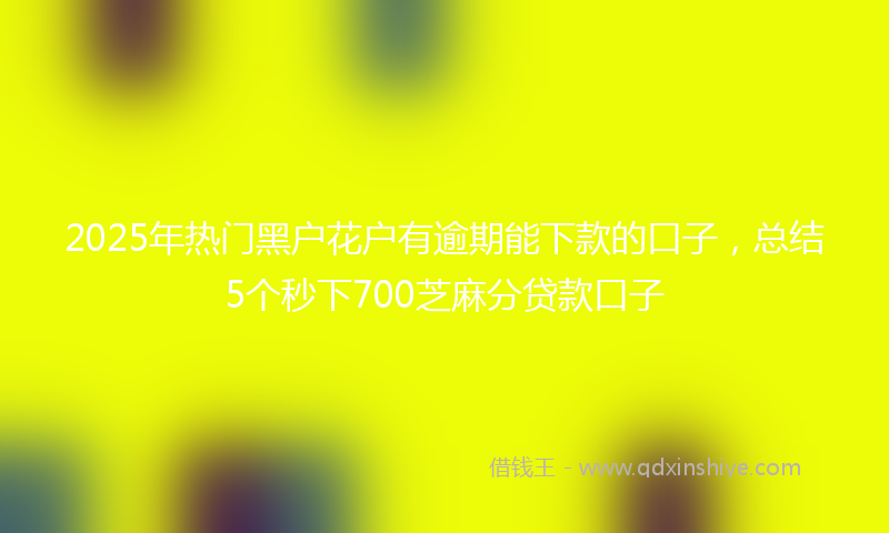 2025年热门黑户花户有逾期能下款的口子,总结5个秒下700芝麻分贷款口子