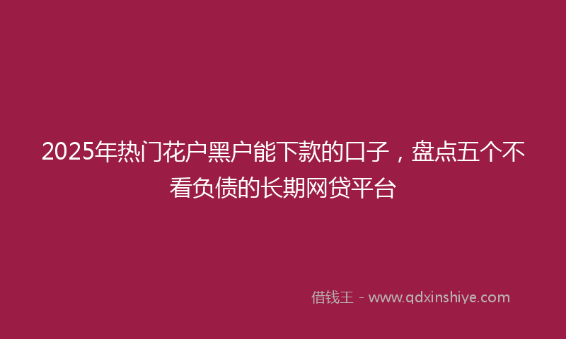 2025年热门花户黑户能下款的口子，盘点五个不看负债的长期网贷平台