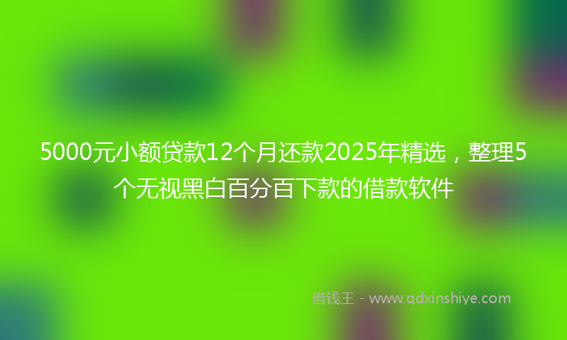 5000元小额贷款12个月还款2025年精选,整理5个无视黑白百分百下款的借款软件