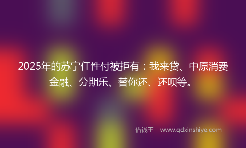 2025年的苏宁任性付被拒有：我来贷、中原消费金融、分期乐、替你还、还呗等。