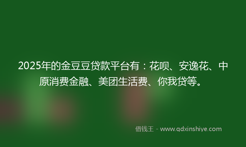 2025年的金豆豆贷款平台有：花呗、安逸花、中原消费金融、美团生活费、你我贷等。