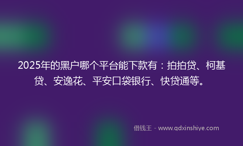 2025年的黑户哪个平台能下款有：拍拍贷、柯基贷、安逸花、平安口袋银行、快贷通等。