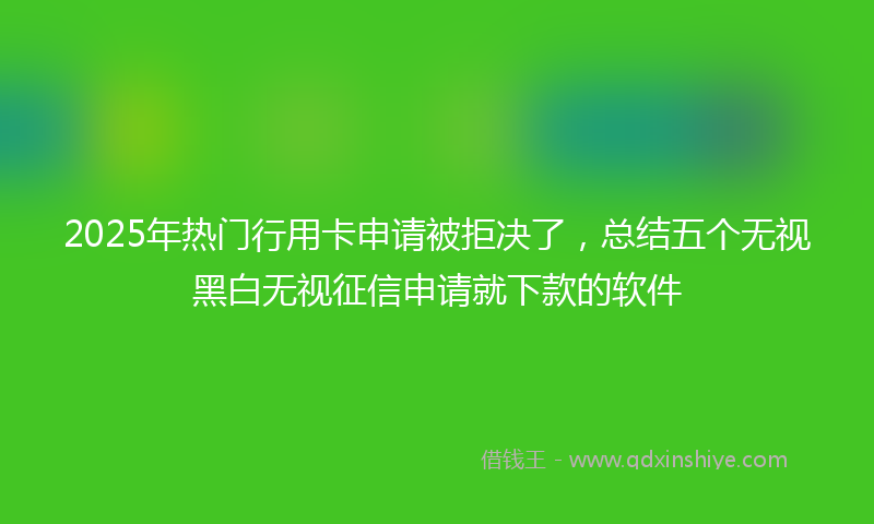 2025年热门行用卡申请被拒决了，总结五个无视黑白无视征信申请就下款的软件