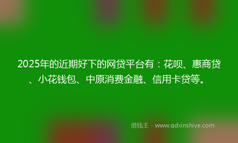 2025年的近期好下的网贷平台有：花呗、惠商贷、小花钱包、中原消费金融、信用卡贷等。