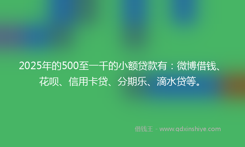 2025年的500至一千的小额贷款有：微博借钱、花呗、信用卡贷、分期乐、滴水贷等。