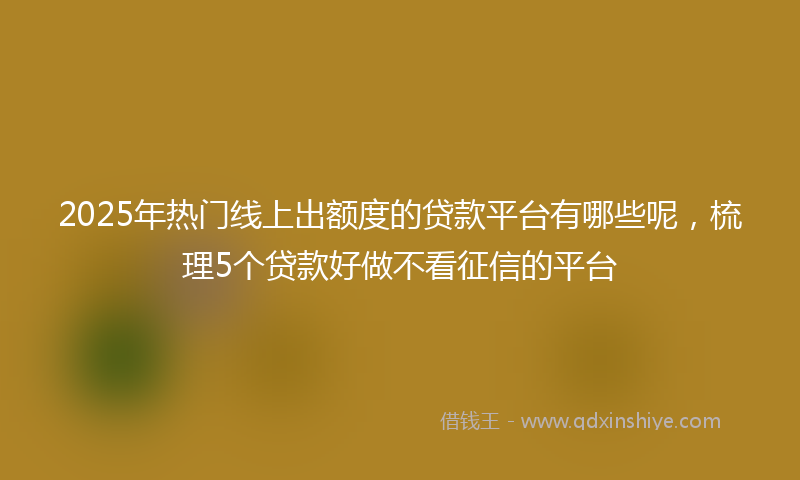 2025年热门线上出额度的贷款平台有哪些呢，梳理5个贷款好做不看征信的平台