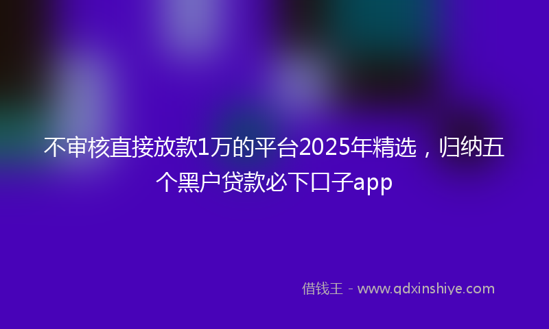 不审核直接放款1万的平台2025年精选，归纳五个黑户贷款必下口子app