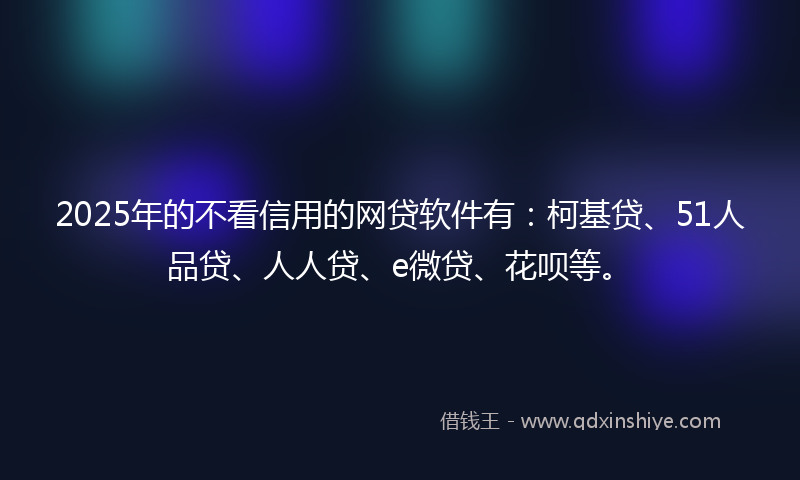 2025年的不看信用的网贷软件有：柯基贷、51人品贷、人人贷、e微贷、花呗等。