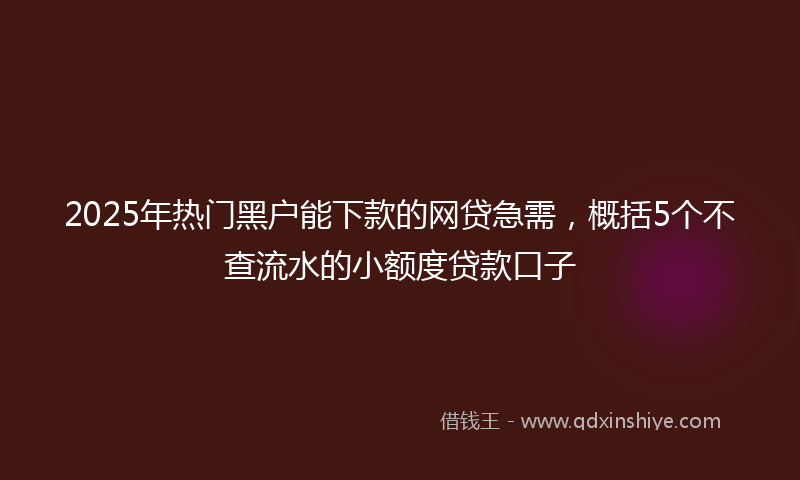 2025年热门黑户能下款的网贷急需，概括5个不查流水的小额度贷款口子