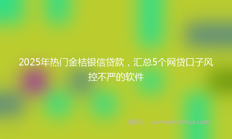 2025年热门金桔银信贷款，汇总5个网贷口子风控不严的软件