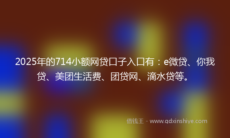 2025年的714小额网贷口子入口有：e微贷、你我贷、美团生活费、团贷网、滴水贷等。