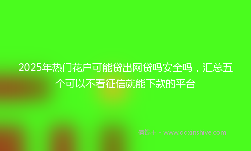 2025年热门花户可能贷出网贷吗安全吗，汇总五个可以不看征信就能下款的平台