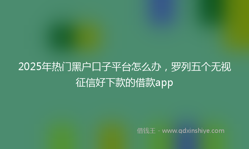 2025年热门黑户口子平台怎么办，罗列五个无视征信好下款的借款app