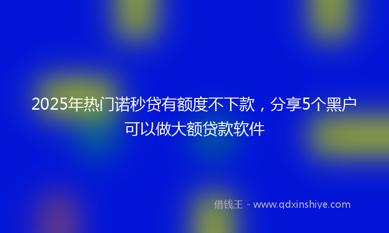 2025年热门诺秒贷有额度不下款，分享5个黑户可以做大额贷款软件