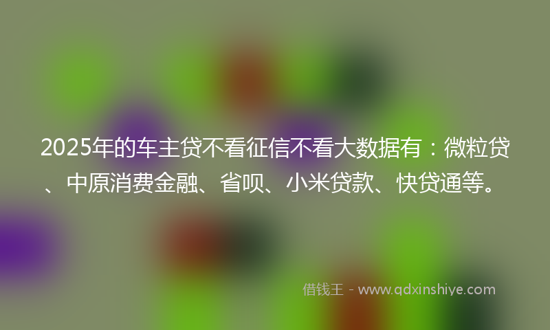2025年的车主贷不看征信不看大数据有：微粒贷、中原消费金融、省呗、小米贷款、快贷通等。