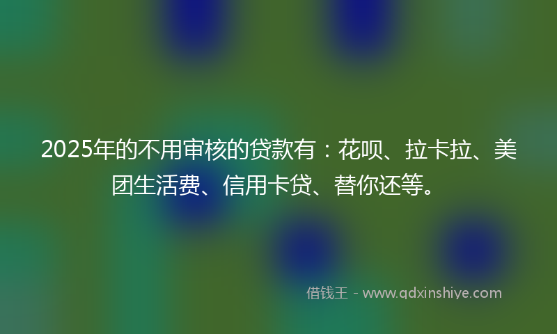 2025年的不用审核的贷款有：花呗、拉卡拉、美团生活费、信用卡贷、替你还等。