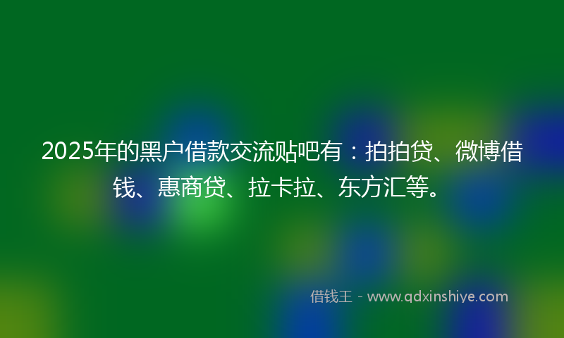 2025年的黑户借款交流贴吧有：拍拍贷、微博借钱、惠商贷、拉卡拉、东方汇等。