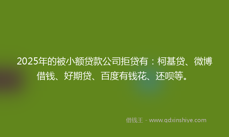 2025年的被小额贷款公司拒贷有：柯基贷、微博借钱、好期贷、百度有钱花、还呗等。