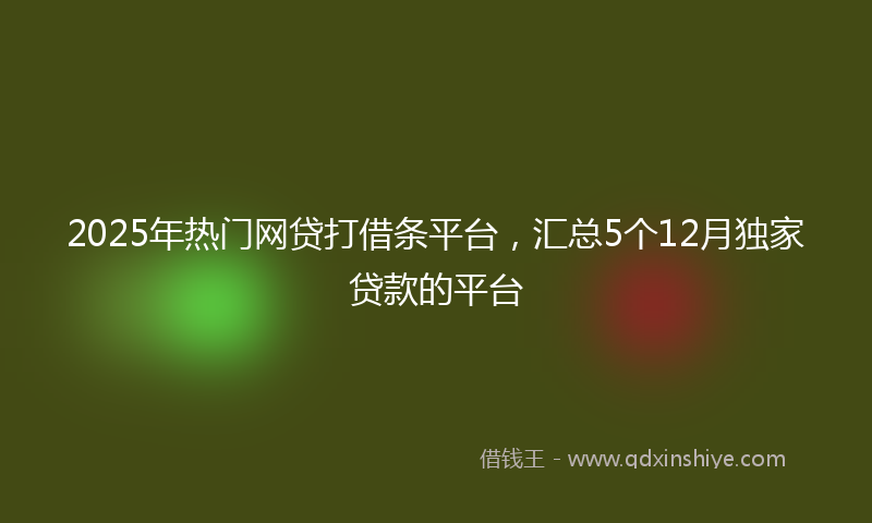 2025年热门网贷打借条平台，汇总5个12月独家贷款的平台