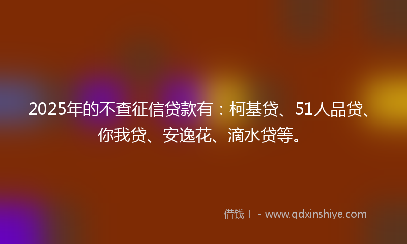 2025年的不查征信贷款有：柯基贷、51人品贷、你我贷、安逸花、滴水贷等。