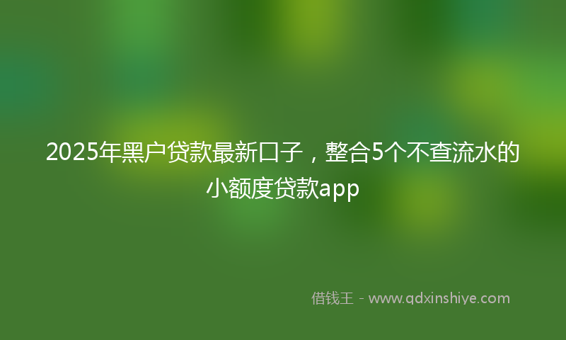 2025年黑户贷款最新口子，整合5个不查流水的小额度贷款app