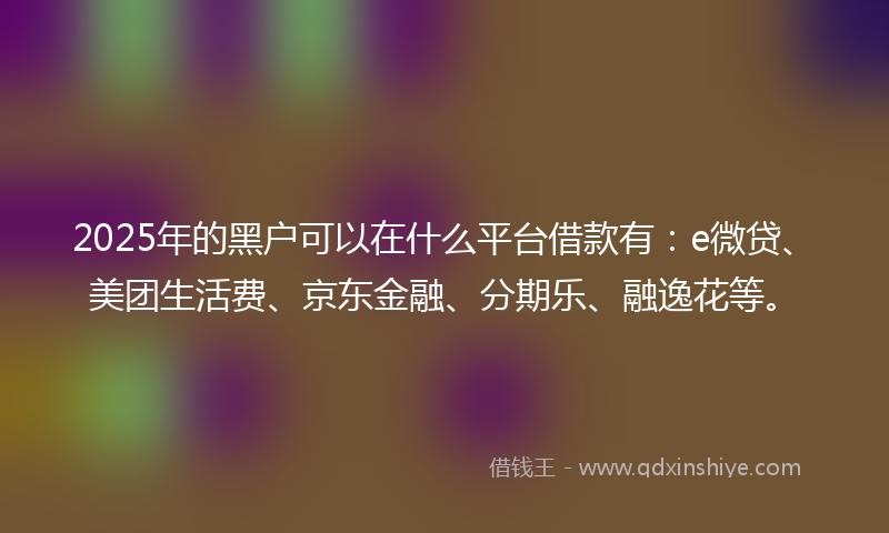 2025年的黑户可以在什么平台借款有：e微贷、美团生活费、京东金融、分期乐、融逸花等。
