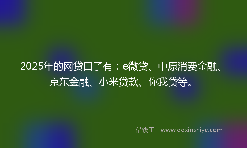 2025年的网贷口子有:e微贷、中原消费金融、京东金融、小米贷款、你我贷等。