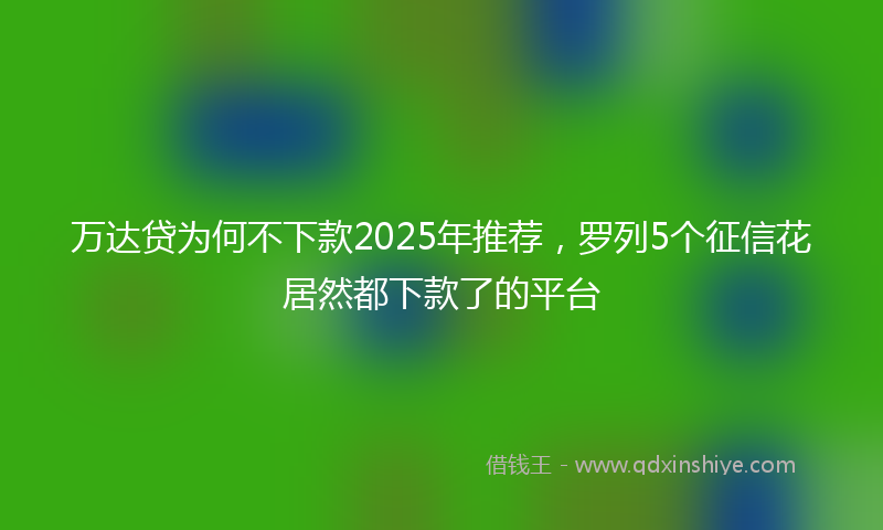 万达贷为何不下款2025年推荐，罗列5个征信花居然都下款了的平台