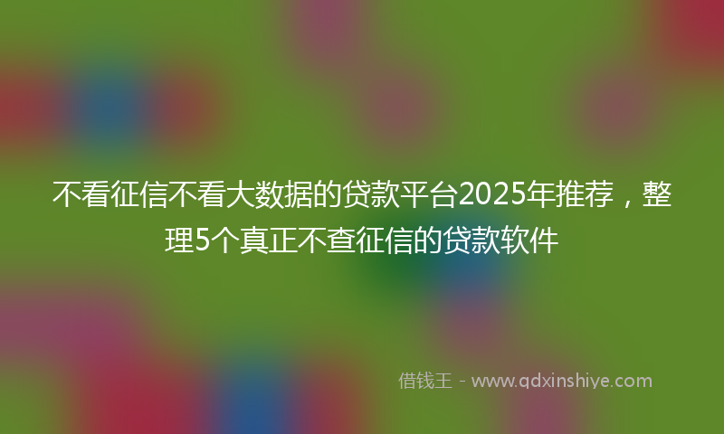 不看征信不看大数据的贷款平台2025年推荐，整理5个真正不查征信的贷款软件
