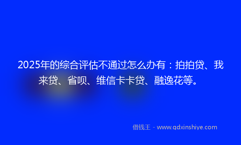 2025年的综合评估不通过怎么办有：拍拍贷、我来贷、省呗、维信卡卡贷、融逸花等。