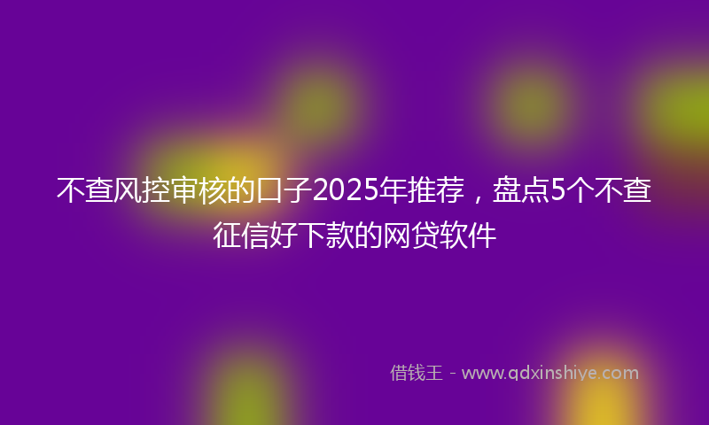 不查风控审核的口子2025年推荐，盘点5个不查征信好下款的网贷软件