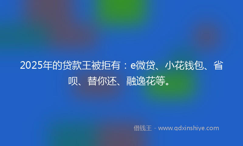 2025年的贷款王被拒有：e微贷、小花钱包、省呗、替你还、融逸花等。
