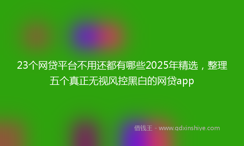 23个网贷平台不用还都有哪些2025年精选，整理五个真正无视风控黑白的网贷app