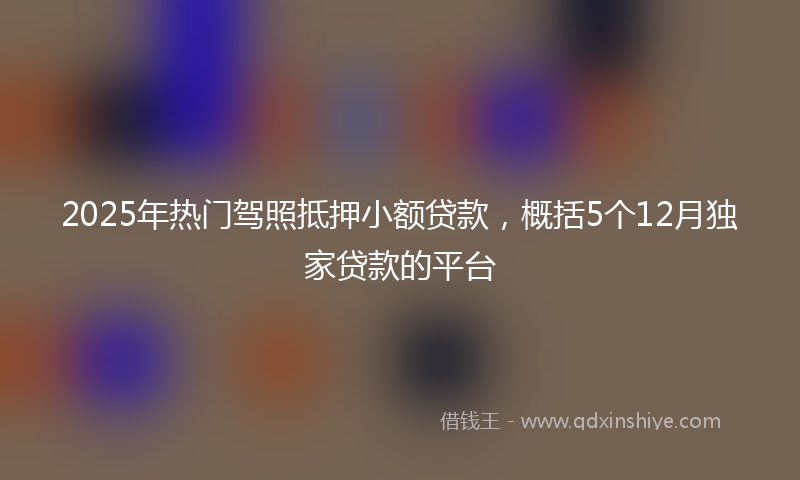 2025年热门驾照抵押小额贷款，概括5个12月独家贷款的平台